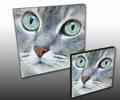  Giclee on Canvas Fine art prints