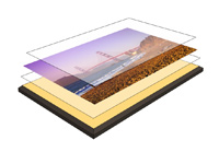 Plaque Mounting Layers